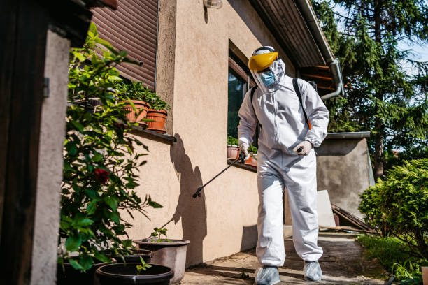 Best Best Pest Control Companies  in Dunlap, OH